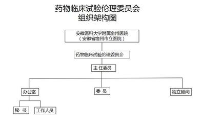 安徽省宿州市立医院药物临床试验伦理委员会组织架构与药物临床试验服务探讨